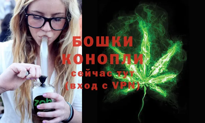 купить  сайты  Дигора  Конопля Bruce Banner 